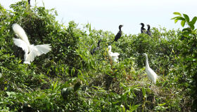 Begin your visa-prepared day with Vietnam’s tranquil ambiance